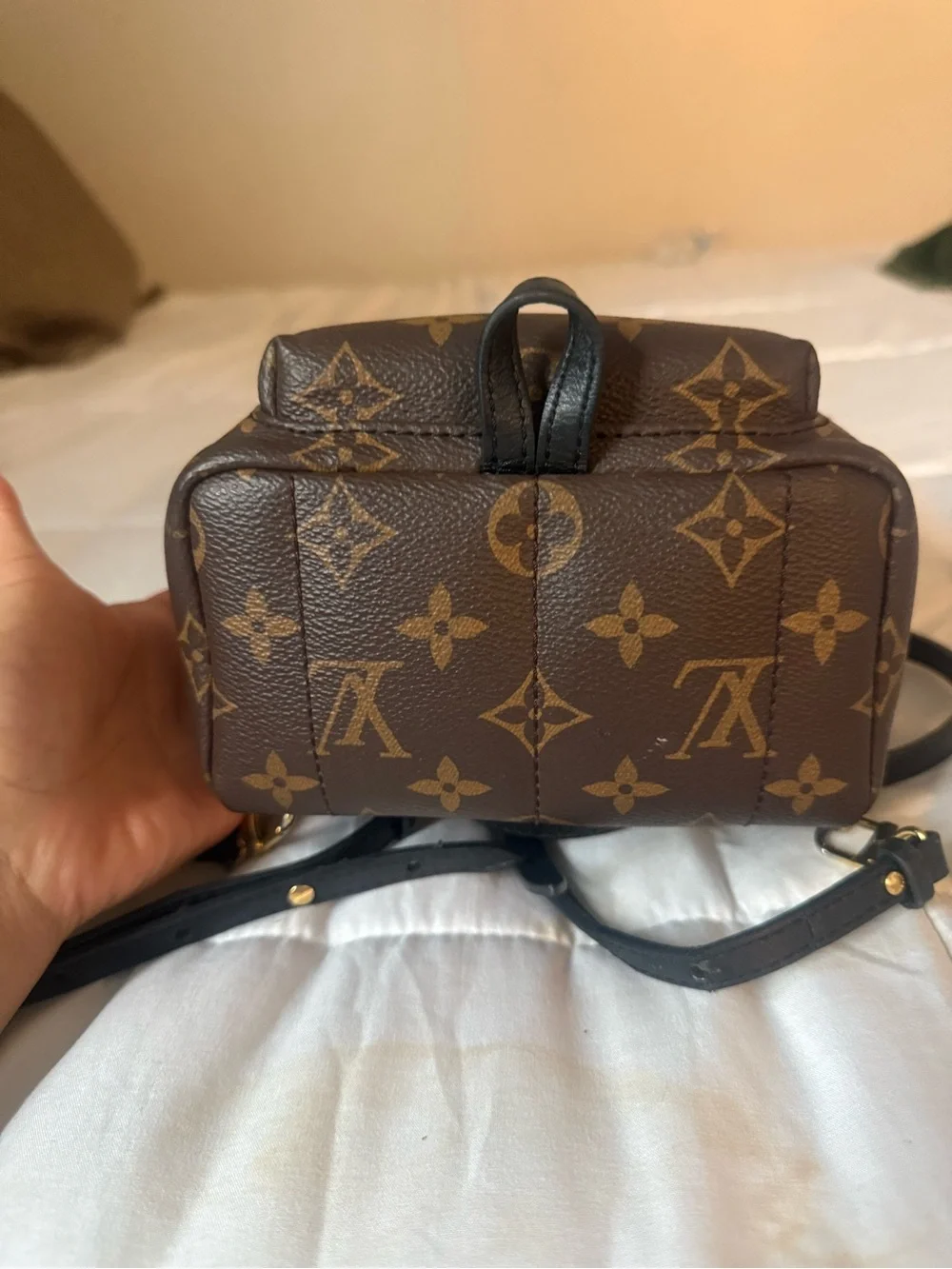 Louis Vuitton beautiful louis